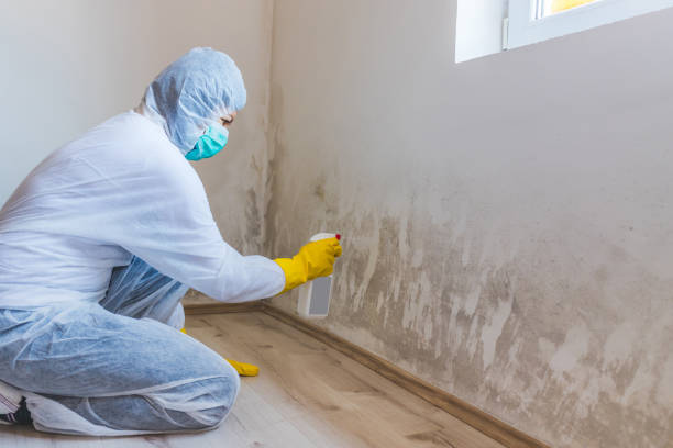 Hvac And Air Duct Mold Remediation inspection of HVAC system in Acton