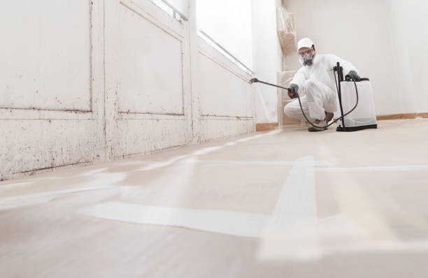 Post-remediation clearance in Acton